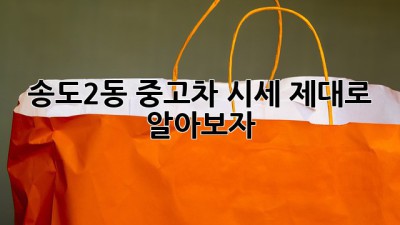 송도2동 중고차 시세, 제대로 알아보자!