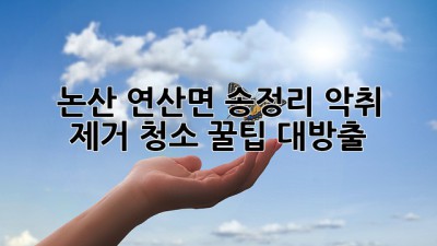 🏡 논산 연산면 송정리 악취 제거 청소, 꿀팁 대방출! ✨