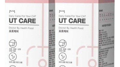 닥터바이캣 솔직 후기: 털 뿜뿜 고양이와 함께한 찐 후기!
