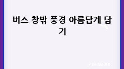 버스 여행 사진, 완벽하게 담아가는 방법!