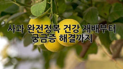 🍎 사과 완전정복! 건강 재배부터 궁금증 해결까지! 🍏
